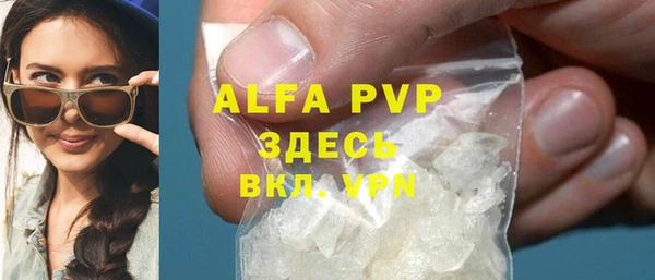 крисы Абаза