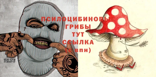 крисы Абаза