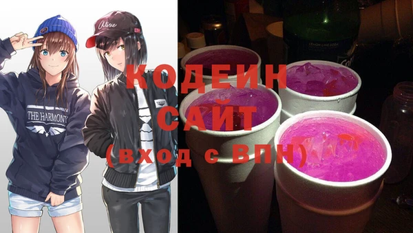крисы Абаза