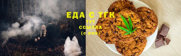индика Алексин